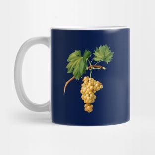 Vintage Botanical Illustration - Grape Vine 009 Mug